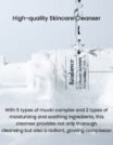 cleansingfoam1