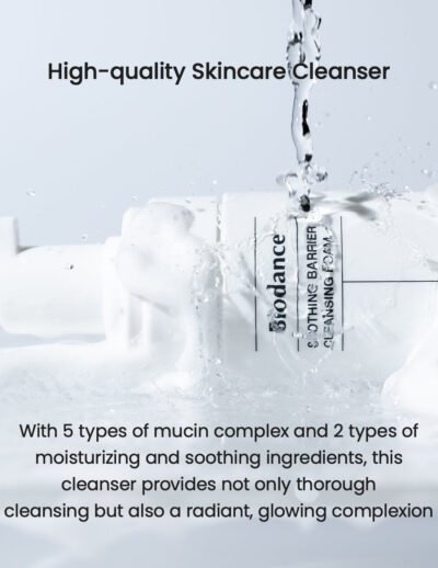 cleansingfoam1