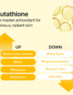 No.5_Glutationa_Vitamin_Concentrated_Sérum Facial_3
